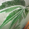 vetro-decorato-palma.jpg
